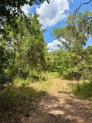16500 NE 48th Avenue Citra FL 32113
