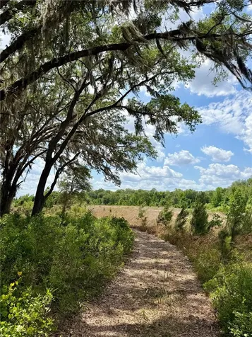 16500 NE 48th Avenue Citra FL 32113