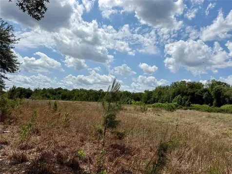 16500 NE 48th Avenue Citra FL 32113