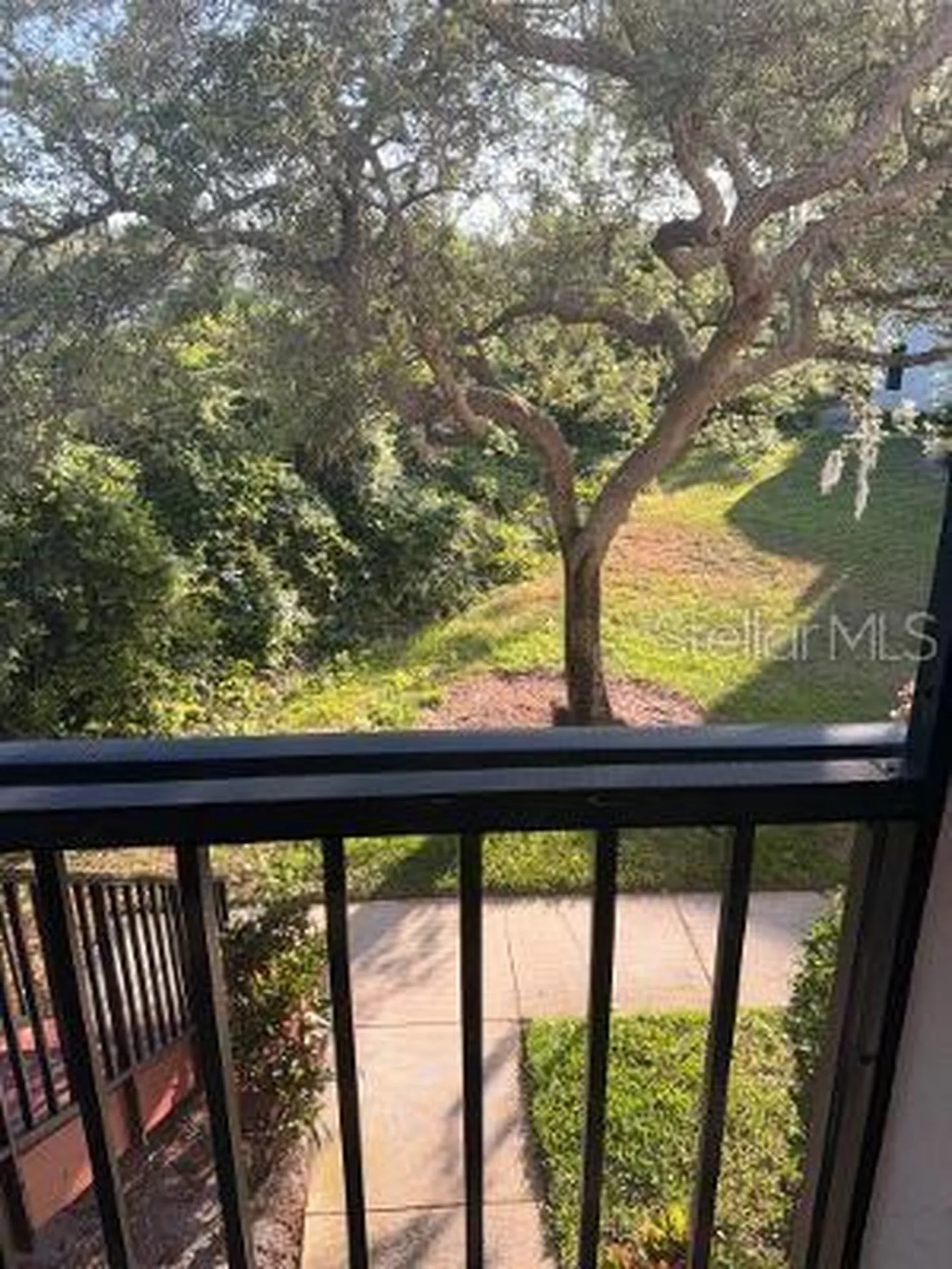 3455 Countryside Boulevard Clearwater FL 33761