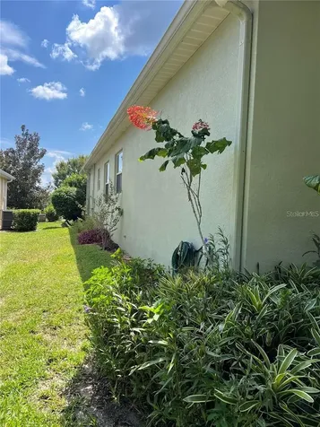 119 Falling Acorn Avenue Groveland FL 34736