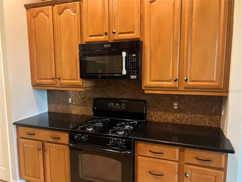 119 Falling Acorn Avenue Groveland FL 34736