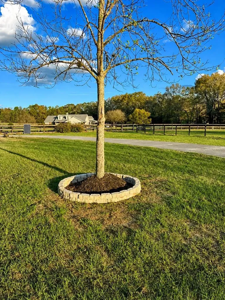 5440 NE 31st Terrace Ocala FL 34479