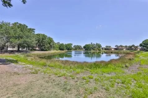 828 Regal Manor Way Sun City Center FL 33573