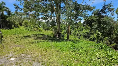 Zarzal Arriba Carr. 966 Km 2.3 Rio Grande PR 00745