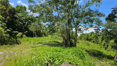 Zarzal Arriba Carr. 966 Km 2.3 Rio Grande PR 00745