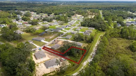 133 Sparrow Court Kissimmee FL 34759