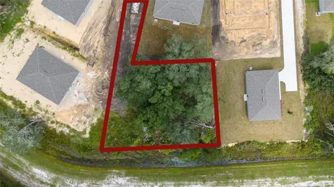133 Sparrow Court Kissimmee FL 34759