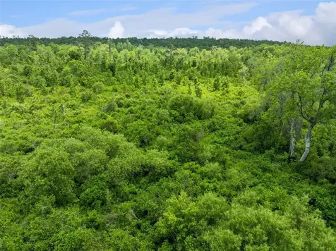 Culbreath Road Brooksville FL 34602
