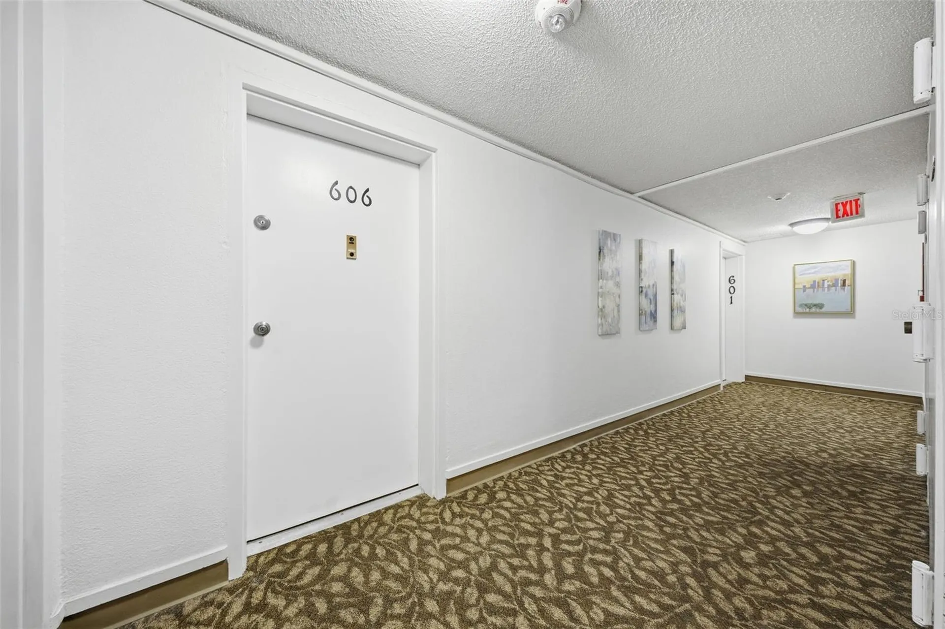 4141 Bayshore Boulevard Tampa FL 33611
