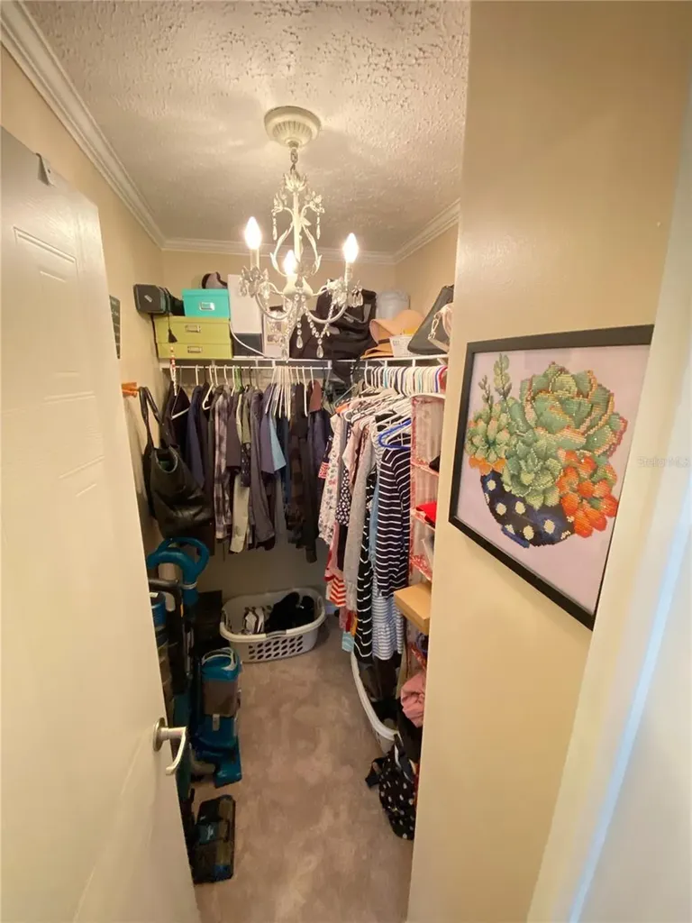 8330 Fantasia Park Way Riverview FL 33578