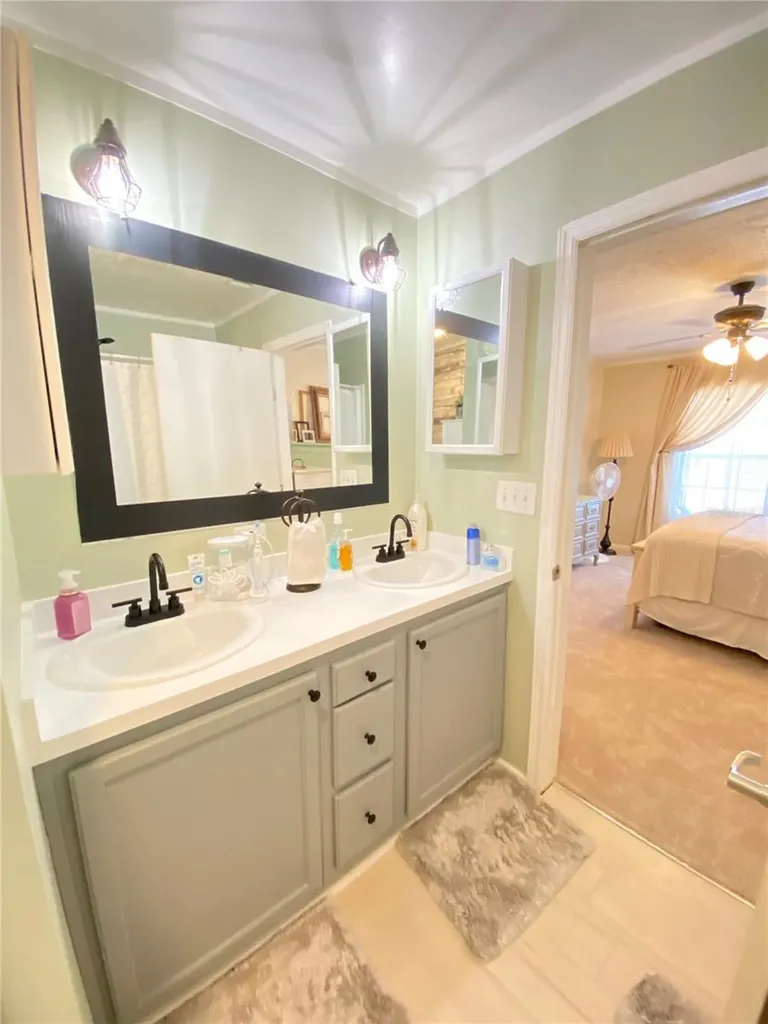 8330 Fantasia Park Way Riverview FL 33578