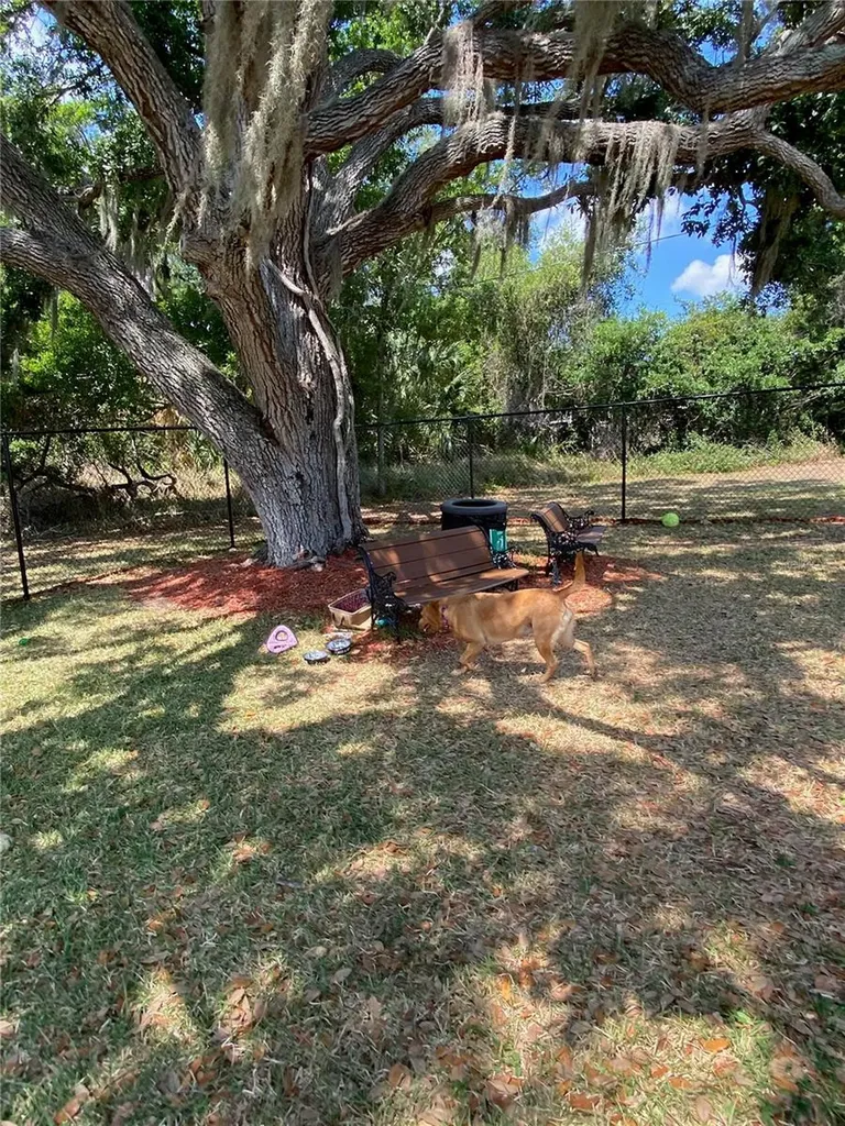 8330 Fantasia Park Way Riverview FL 33578