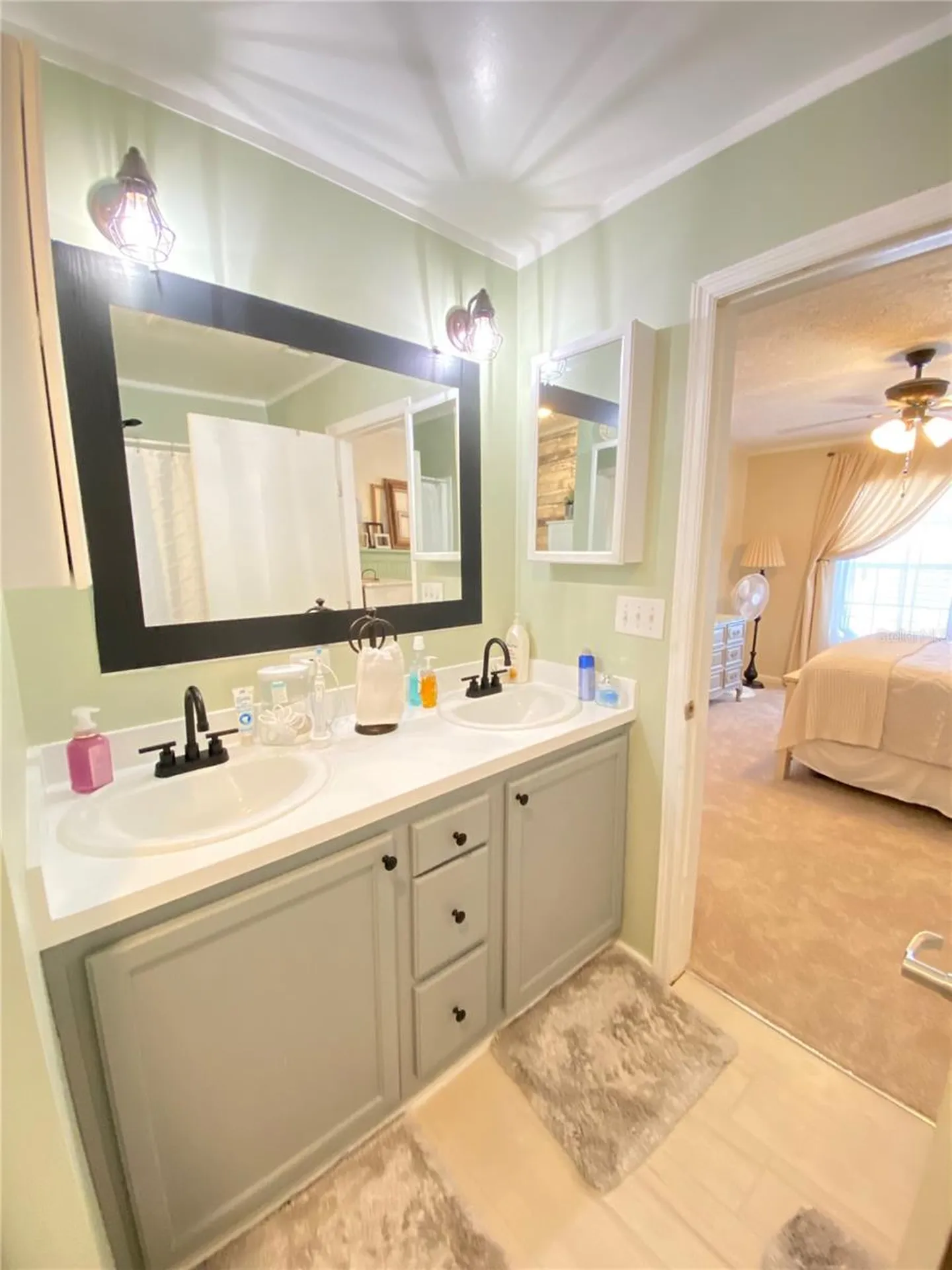 8330 Fantasia Park Way Riverview FL 33578