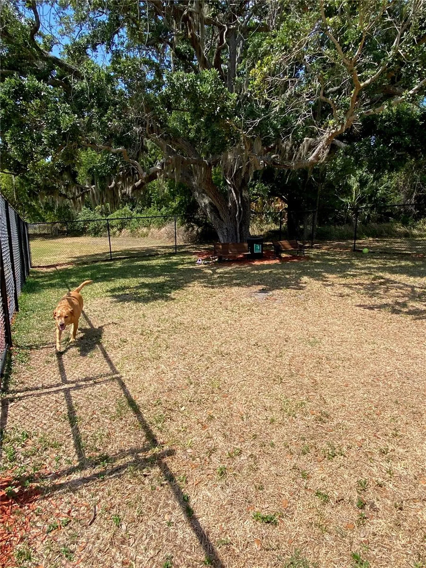 8330 Fantasia Park Way Riverview FL 33578