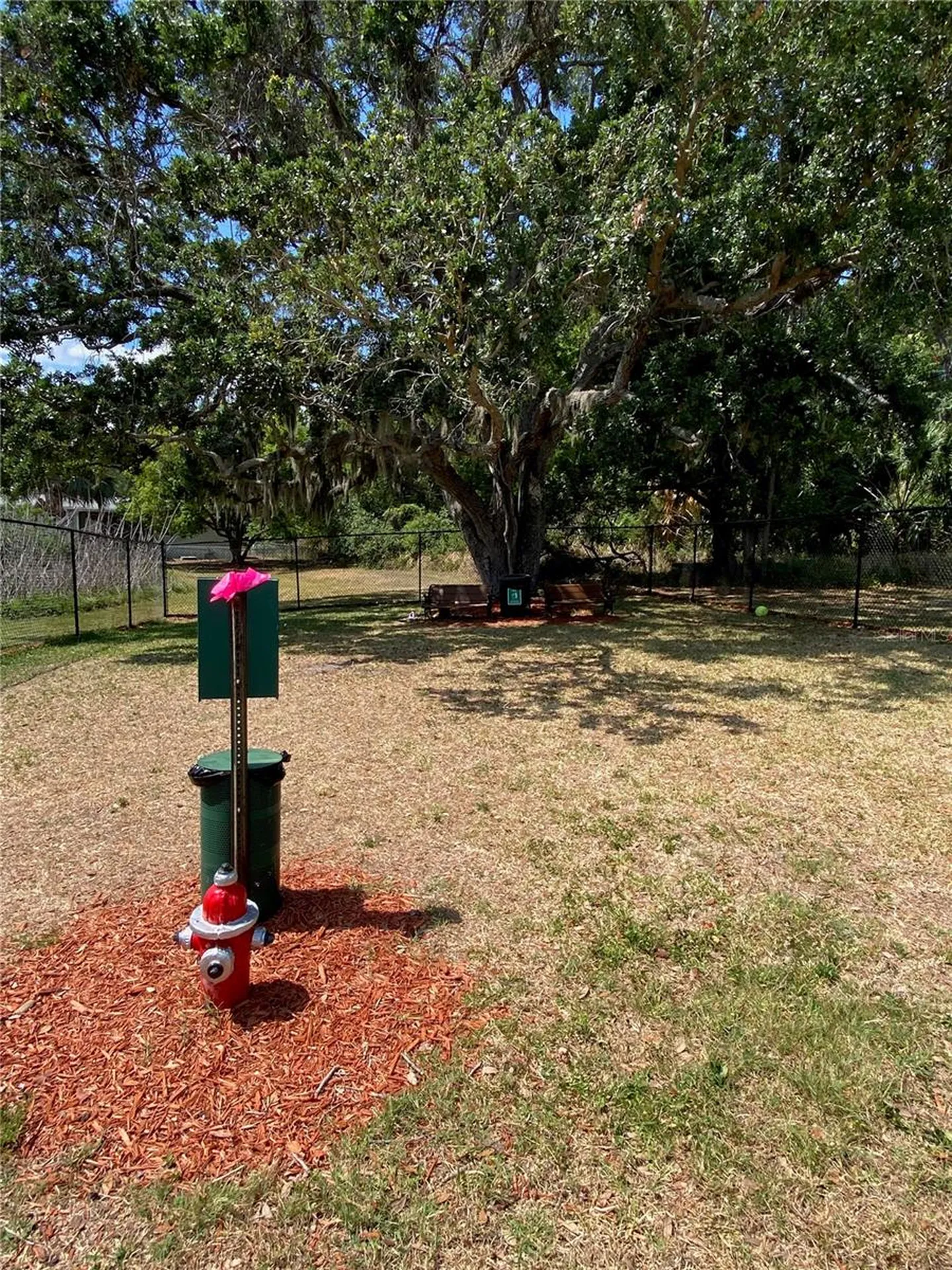 8330 Fantasia Park Way Riverview FL 33578