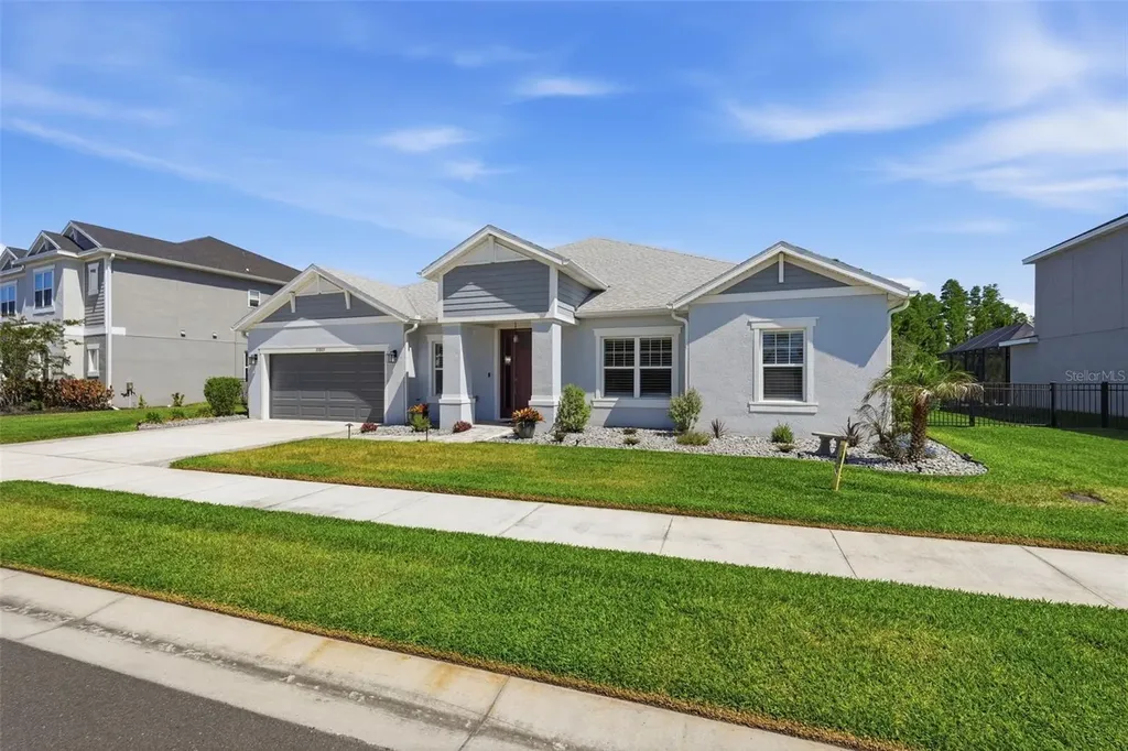 33805 Castaway Loop Wesley Chapel FL 33543