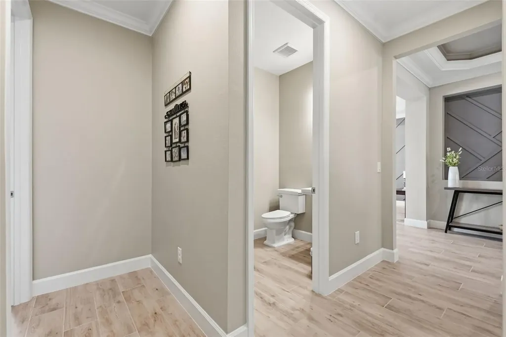 33805 Castaway Loop Wesley Chapel FL 33543