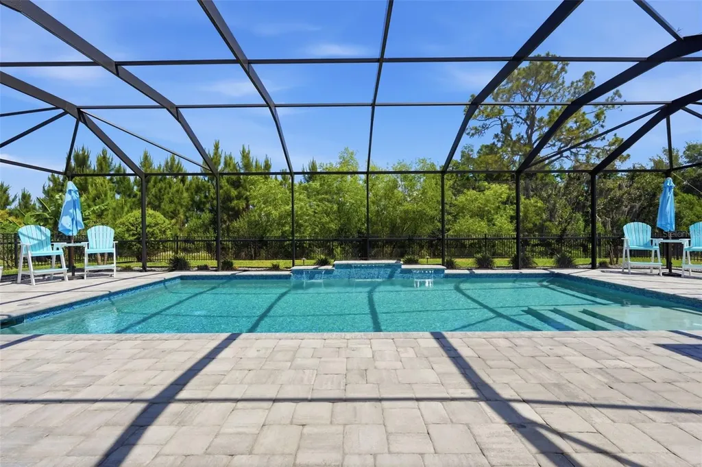 33805 Castaway Loop Wesley Chapel FL 33543