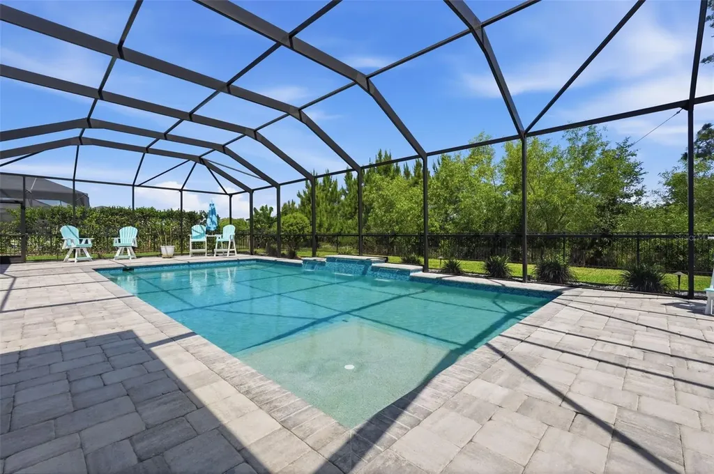 33805 Castaway Loop Wesley Chapel FL 33543