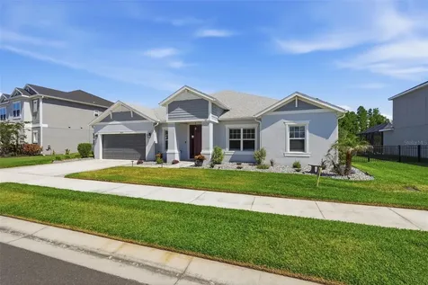 33805 Castaway Loop Wesley Chapel FL 33543