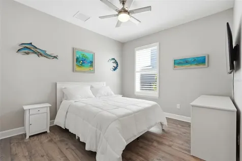 33805 Castaway Loop Wesley Chapel FL 33543