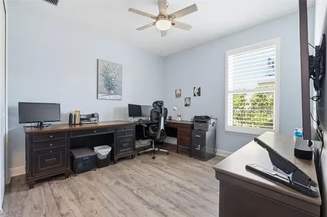 33805 Castaway Loop Wesley Chapel FL 33543