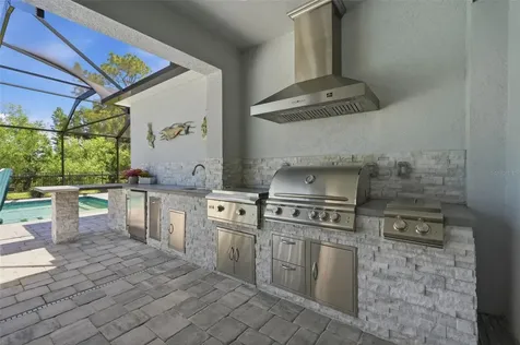 33805 Castaway Loop Wesley Chapel FL 33543