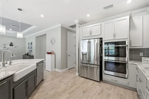 33805 Castaway Loop Wesley Chapel FL 33543