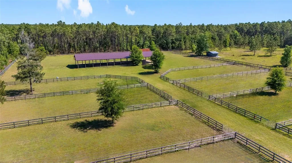 13531 SE 54th Street Morriston FL 32668