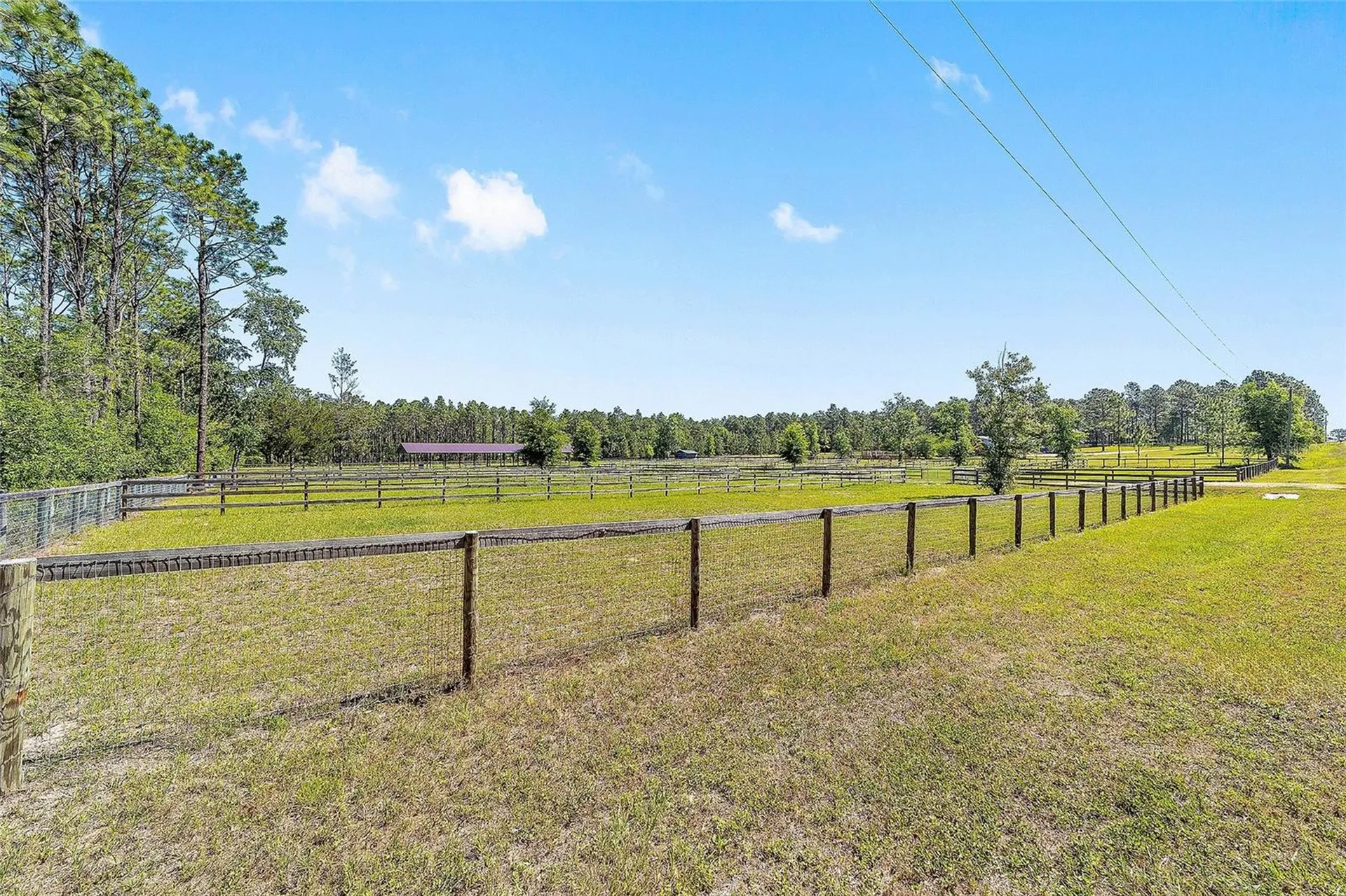 13531 SE 54th Street Morriston FL 32668