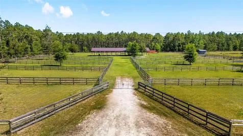 13531 SE 54th Street Morriston FL 32668