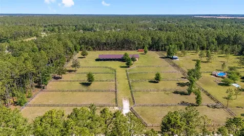 13531 SE 54th Street Morriston FL 32668