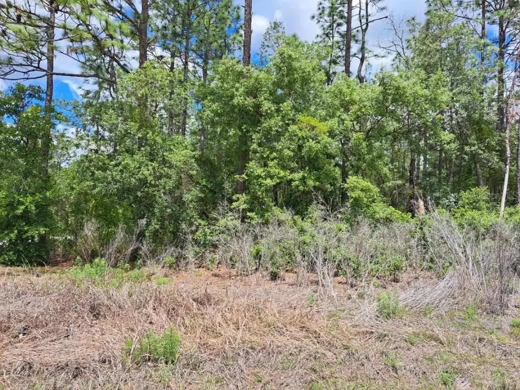 0 SW 125 Court Road Dunnellon FL 34432