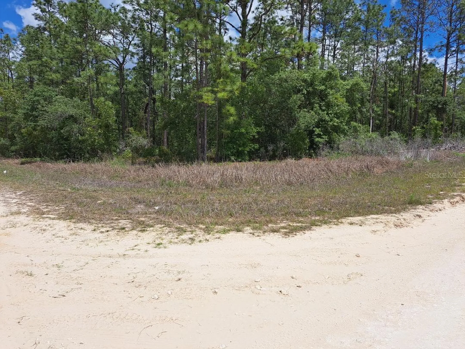 0 SW 125 Court Road Dunnellon FL 34432