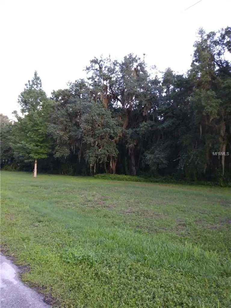 3007 Country Trails Drive Plant City FL 33567