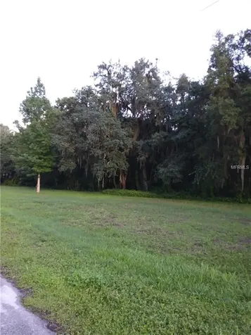3007 Country Trails Drive Plant City FL 33567