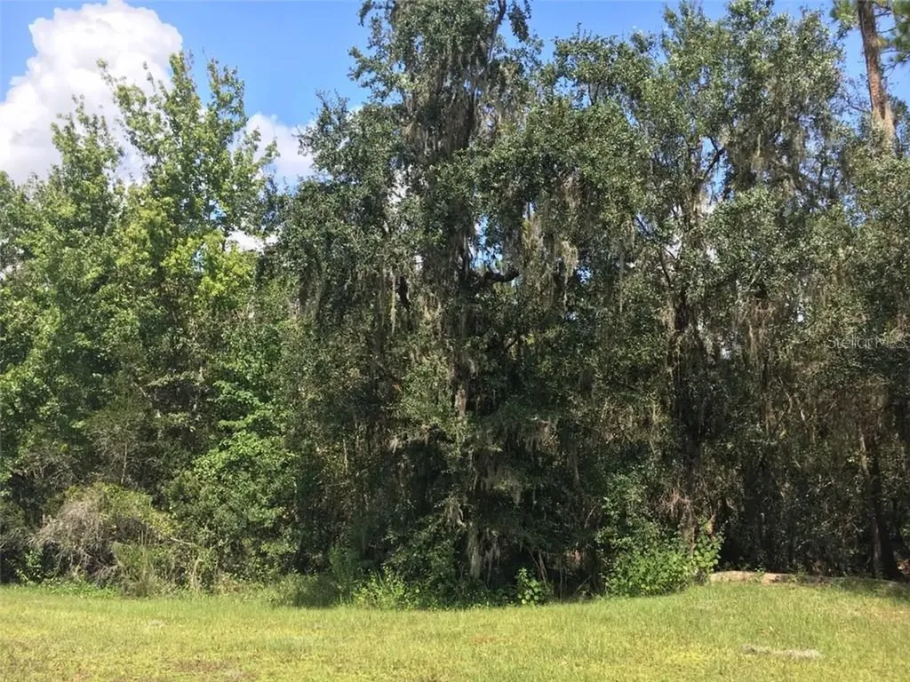 41025 E 20th Place Myakka City FL 34251