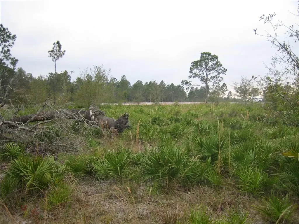 41025 E 20th Place Myakka City FL 34251