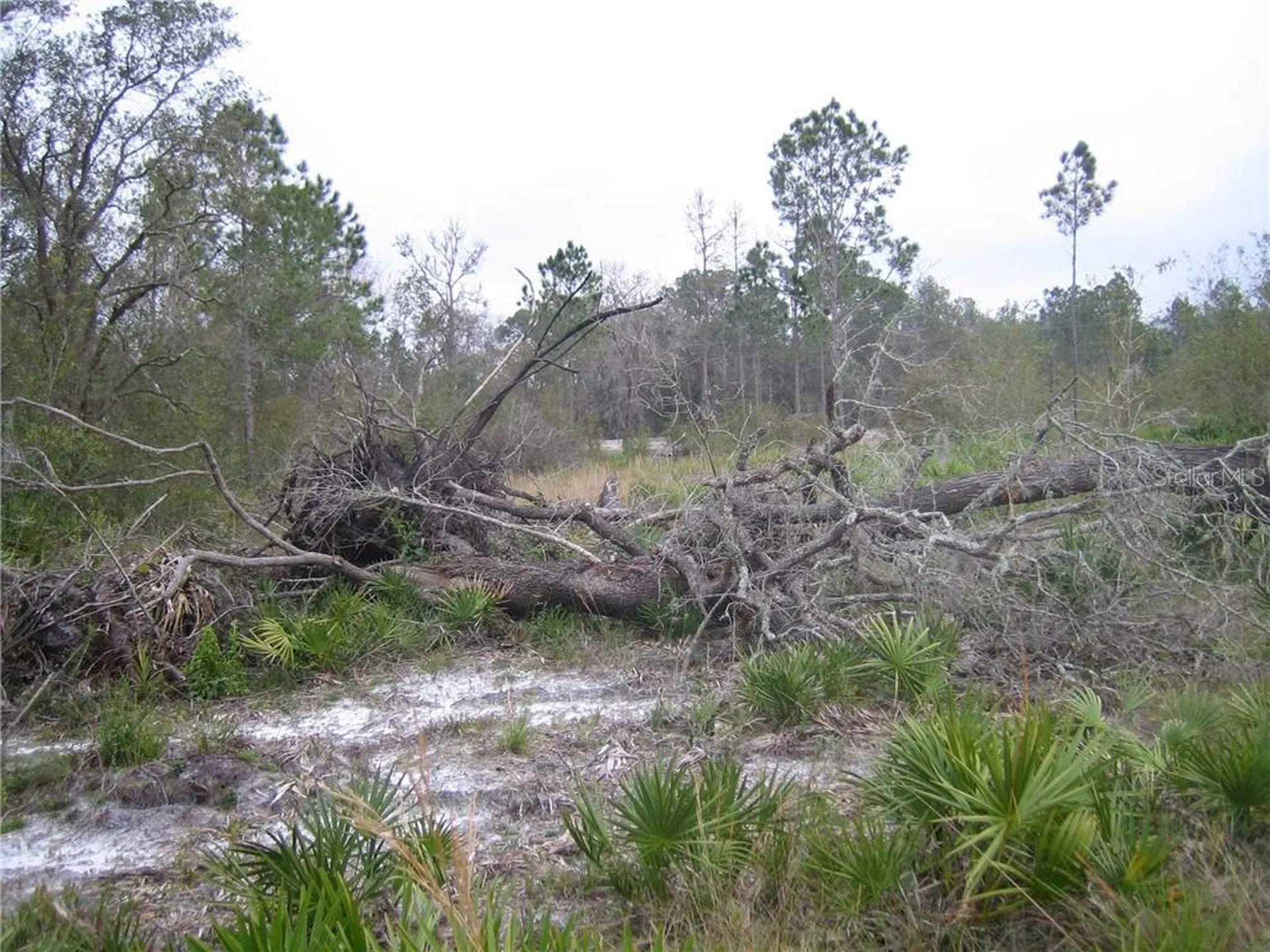 41025 E 20th Place Myakka City FL 34251
