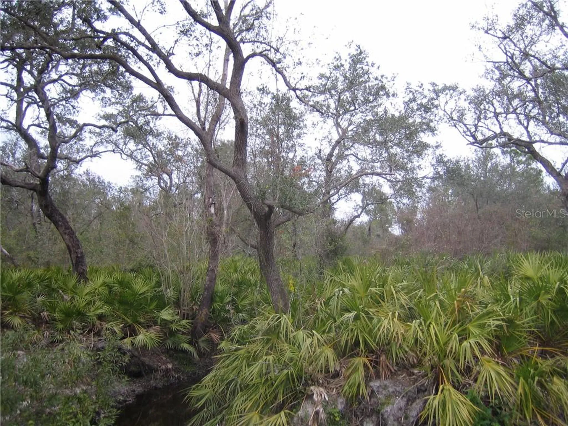 41025 E 20th Place Myakka City FL 34251