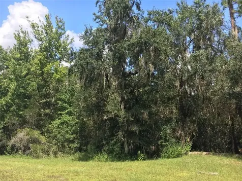 41025 E 20th Place Myakka City FL 34251