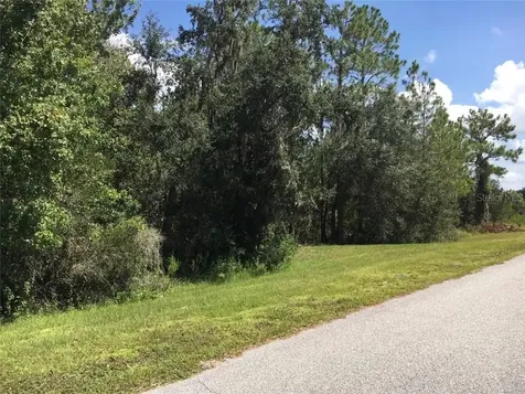 41025 E 20th Place Myakka City FL 34251