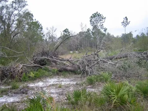 41025 E 20th Place Myakka City FL 34251