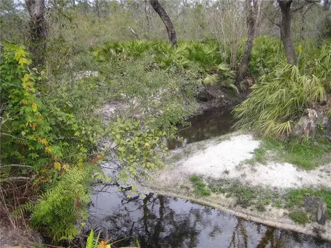 41025 E 20th Place Myakka City FL 34251