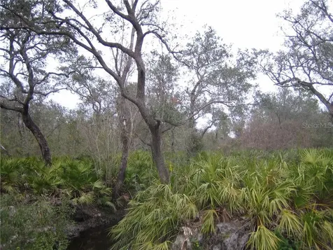 41025 E 20th Place Myakka City FL 34251