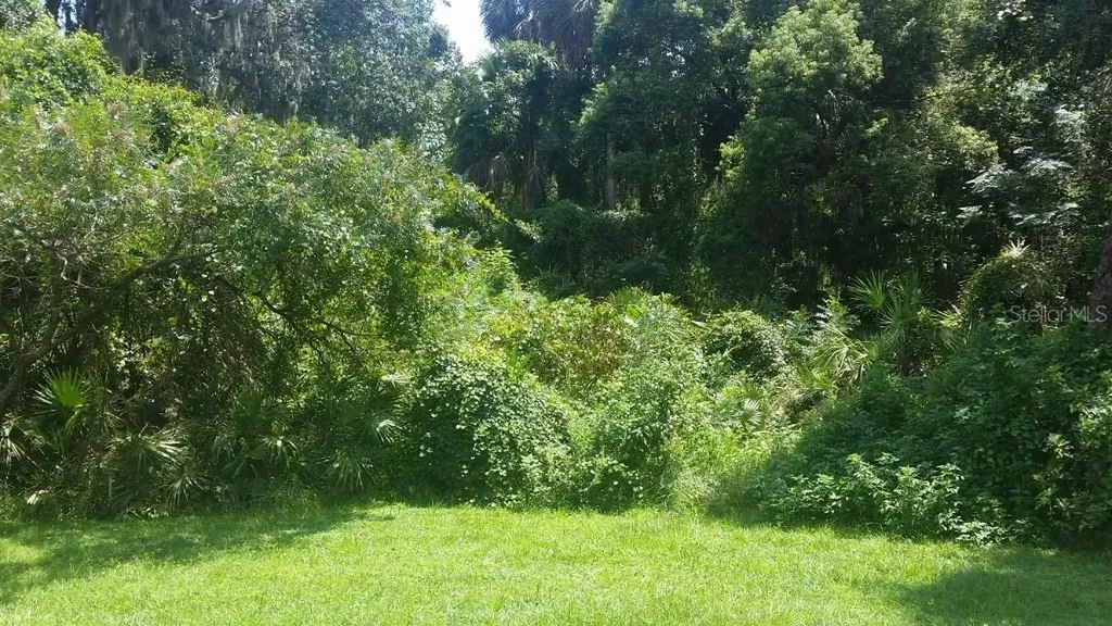 823 Debary Avenue Deltona FL 32725