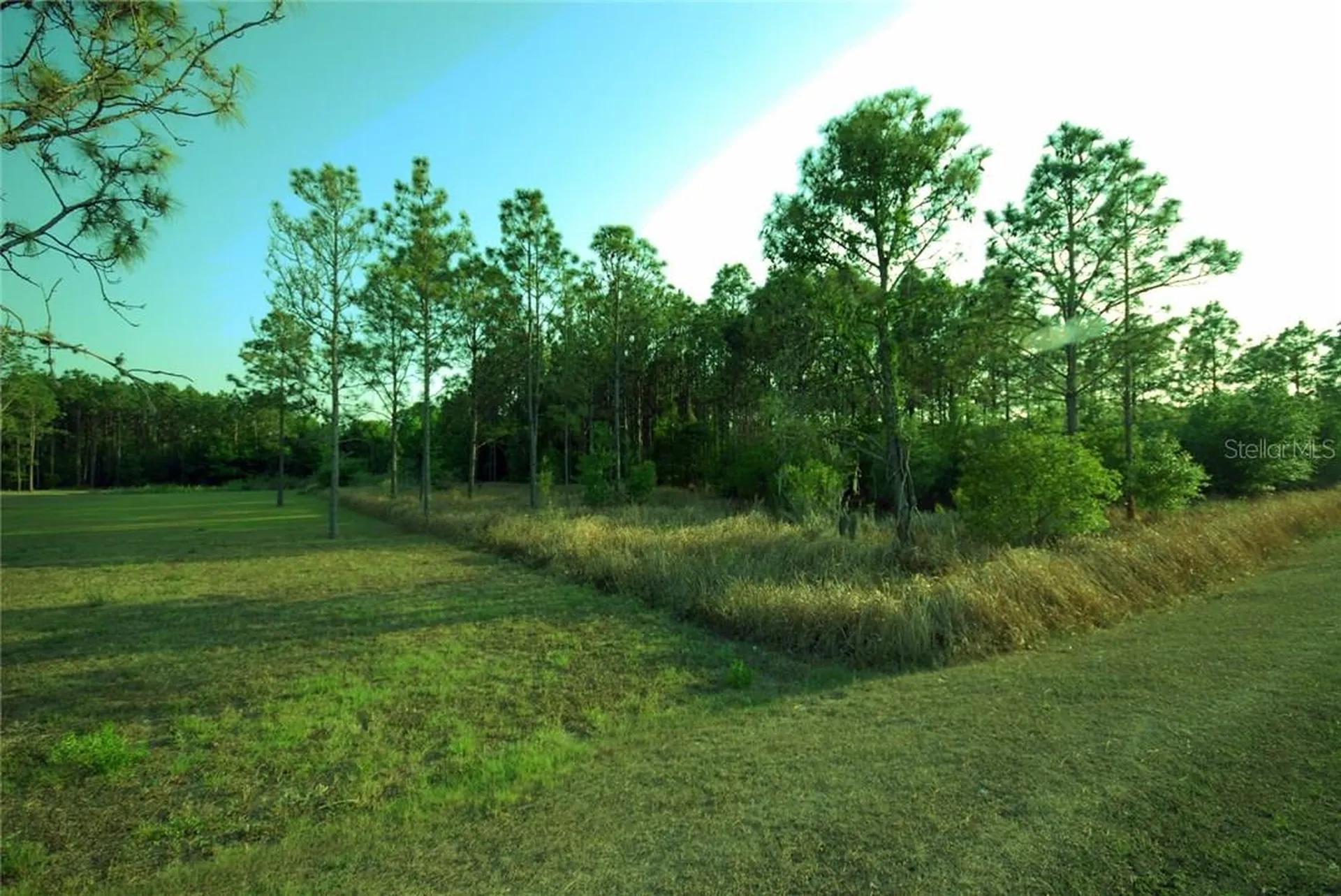 30150 Overpass Road Wesley Chapel FL 33545