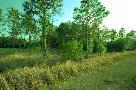30150 Overpass Road Wesley Chapel FL 33545