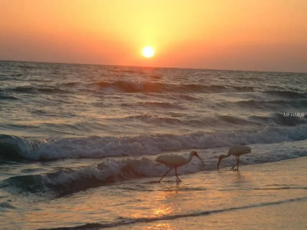 9400 Little Gasparilla Island Placida FL 33946